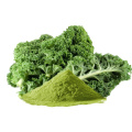 Top Food Grade Organic Kale Powder for Snacks and Weight Control